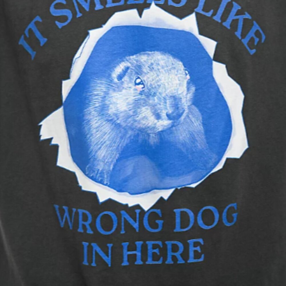 A.LAB Wrong Dog Washed Black T-Shirt - Picture 3 of 6